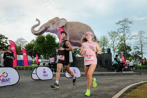 BIB: 
                            <button type="button" onclick="openModal(26529043)" class="btn btn-primary btn-sm float-right btn-popup" data-toggle="modal" data-target=".modal-high-quality">
                        <i class="fas fa-shopping-cart"></i> Add to Cart
                    </button>
                                            <button type="button" onclick="isThisMe(26529043, true)" class="btn btn-success btn-sm float-right btn-popup btn-isme hidden" data-toggle="tooltip" data-placement="bottom" title="นี่คือรูปของคุณใช่ไหม คลิกที่นี่เพื่อเอาเข้าอัลบั้ม">
                        <i class="fas fa-plus"></i> Add to album
                    </button>
                    <button type="button" onclick="isThisMe(26529043, false)" class="btn btn-warning btn-sm float-right btn-popup btn-isnotme hidden">
                        <i class="fas fa-ban"></i> Remove from album
                    </button>